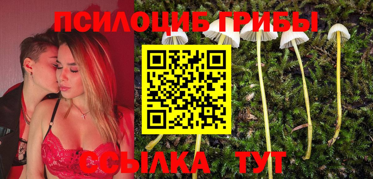 магазин продажи   Галлюциногенные грибы Cubensis  Вход с VPN  Галлюциногенные грибы Psilocybe  Гусь-Хрустальный 